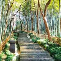 Shaoxing - Historical and beautiful place!