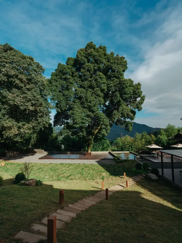 5-Day Chengdu-Emei-Leshan Itinerary: A Must-Read Guide