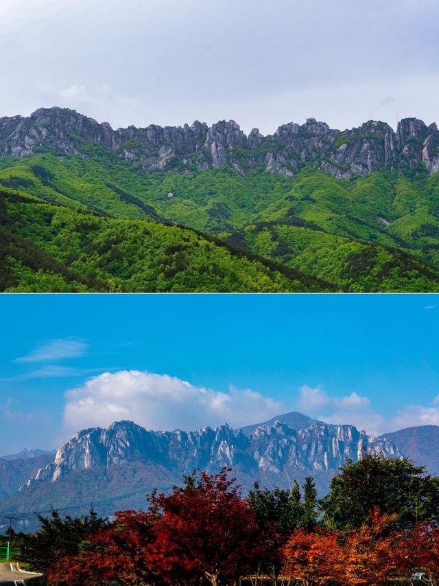 韓國蔚山：打破時間的枷鎖