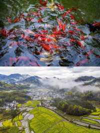 隱居山間治癒系民宿｜古人筆下"桃花原"村