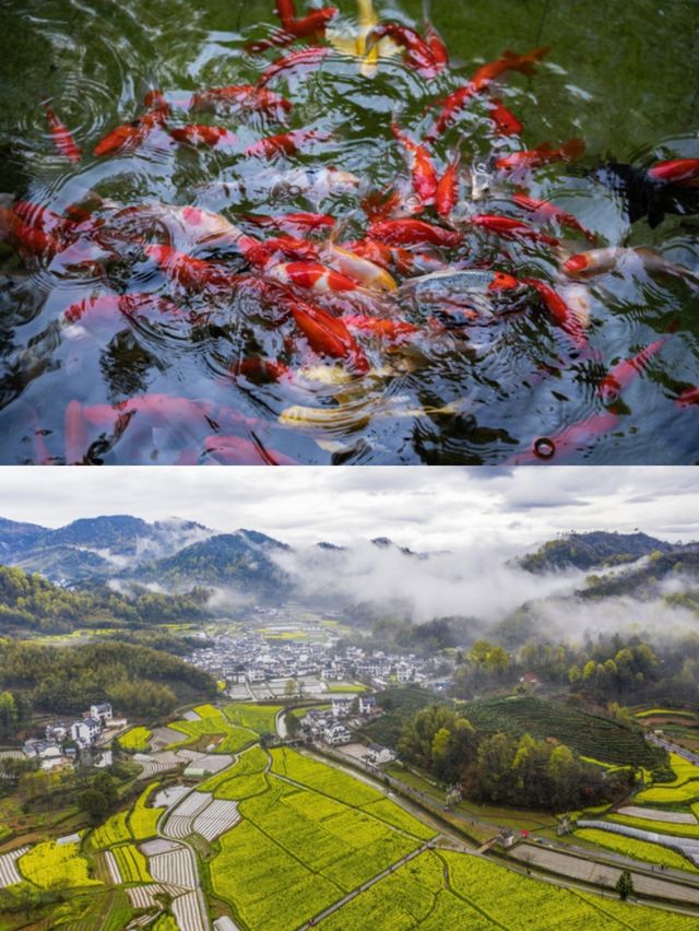 隱居山間治癒系民宿｜古人筆下"桃花原"村
