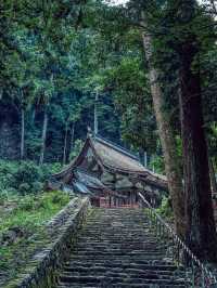 日本賞櫻小眾地推薦：琵琶湖