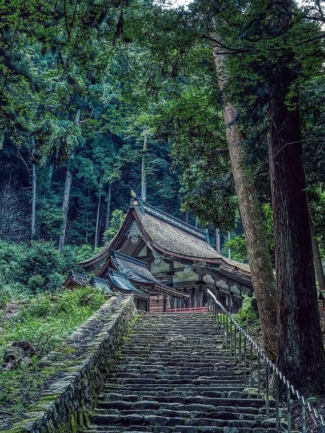 日本賞櫻小眾地推薦：琵琶湖
