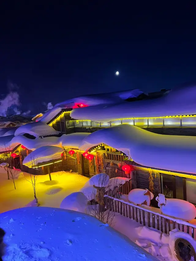 Harbin to Snow Town: A Guide for Skiing Beginners