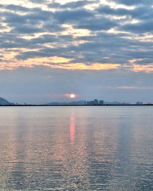 珠海寶藏冷門地 | 二井灣濕地公園美翻啦