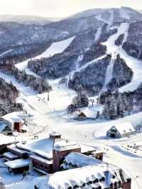Hoshino Resort Tomamu ski area is perfect🍁💥