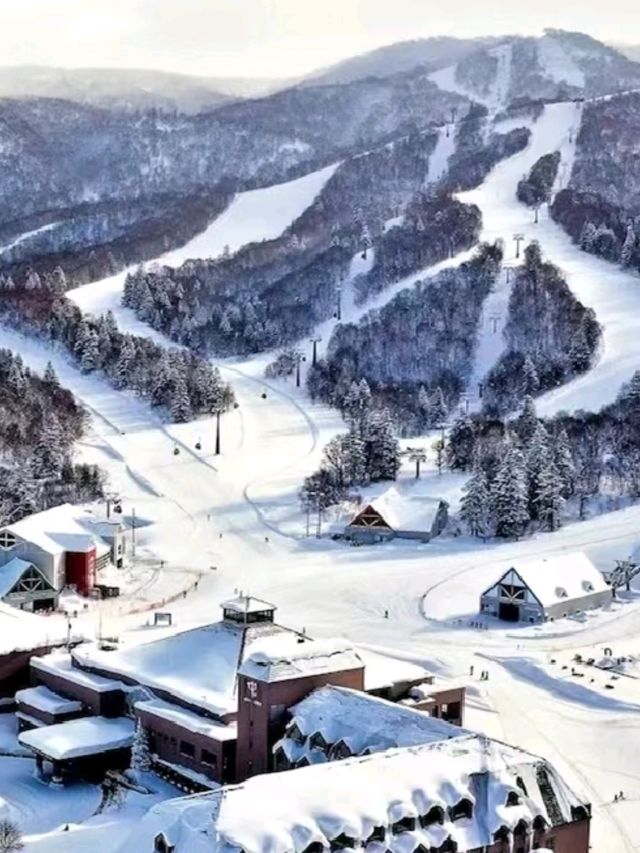 Hoshino Resort Tomamu ski area is perfect🍁💥