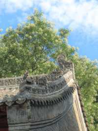 洛陽龍門石窟-白馬寺親子遊超全攻略必收藏