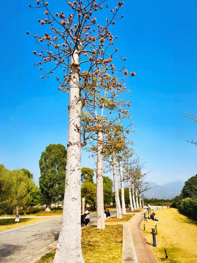 雲南石屏：神仙小城，為甚麼午飯這麼難？