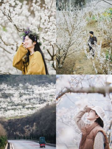 成都1.5小時直達官帽山 徒步挖野菜 太治癒了！