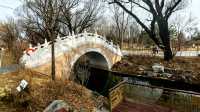 3月初的北塢公園，準備迎春了！