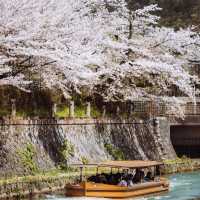 🌸在大阪清水寺，赴一場春日櫻花之約