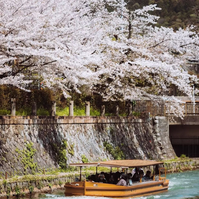 🌸在大阪清水寺，赴一場春日櫻花之約