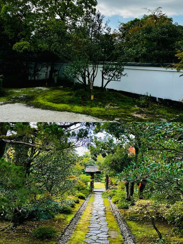 小眾秘境犬山市，解鎖別樣日本風情