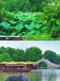 避雷揚州去揚州前 聽點不一樣的大實話吧……