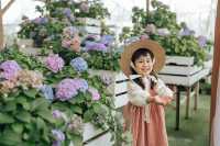 廣佛1小時直達心動樂園，闖入油畫裡的童話世界