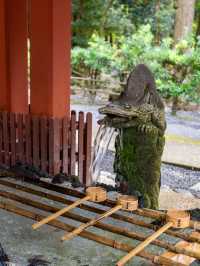 別再只知道京都神社！霧島神宮，藏在鹿兒島的國寶級秘境