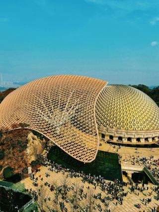 Nanjing 2-Day Tour | A Super Detailed Itinerary Guide You Must Read