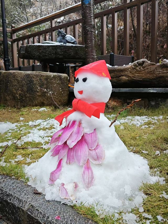 春之雪-專屬春天的浪漫
