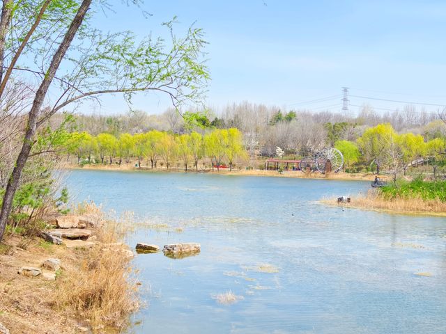鄭州，滎陽有一個免費的適合「撒野」的公園