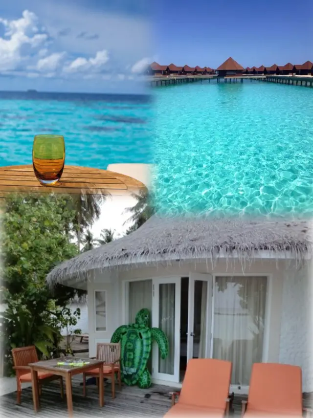 몰디브 말레 | 꿈같은 파라다이스를 깊이 있게 즐기는 비법