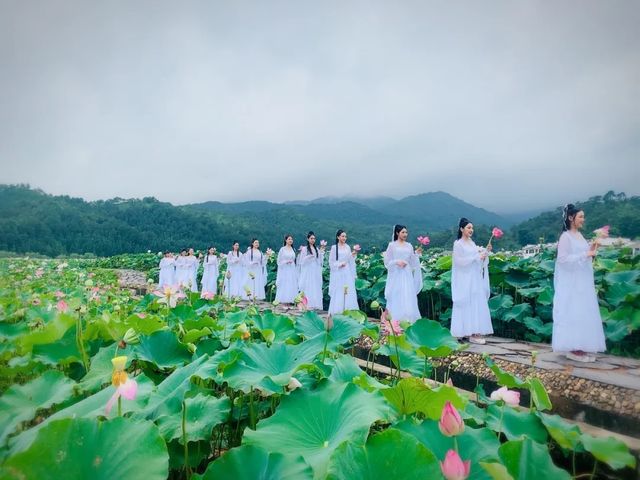 嚟姚西賞蓮啦，承包您成個夏天嘅浪漫……