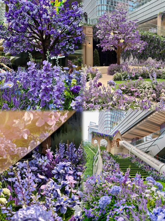實拍深圳萬象前海紫色花海，陷入浪漫💜