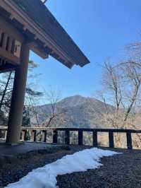 清明節出遊無煩惱：5天玩盡日本超完整攻略