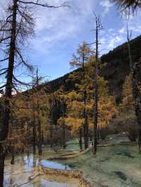 清明節小長假 天水等地旅遊攻略來啦別錯過