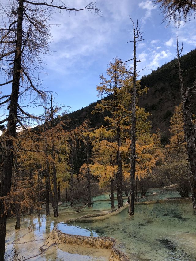 清明節小長假 天水等地旅遊攻略來啦別錯過