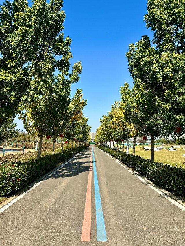 洛陽寶藏級親子賞花地！南山牡丹園全免費！