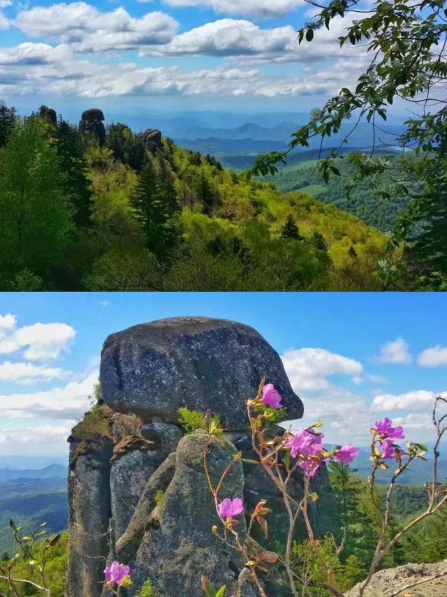 綠野尋芳·春遊白山，3條寶藏級春遊路線等你嚟