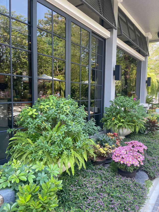 曼谷Wild Duck Cafe BKK探店 