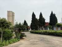 在洪湖知名的東林古寺打卡。