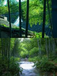 南山竹海 | 和我一起登山去~