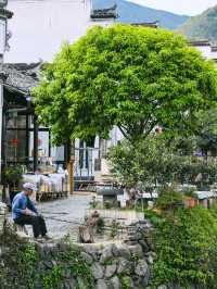 盧村｜這裡比宏村人更少景更美！沒有那麼商業化