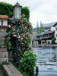 南浔薔薇花海 | 春日浪漫指數爆表