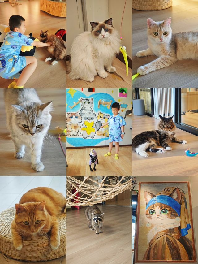 北京遛娃天花板！18h根本玩不夠！