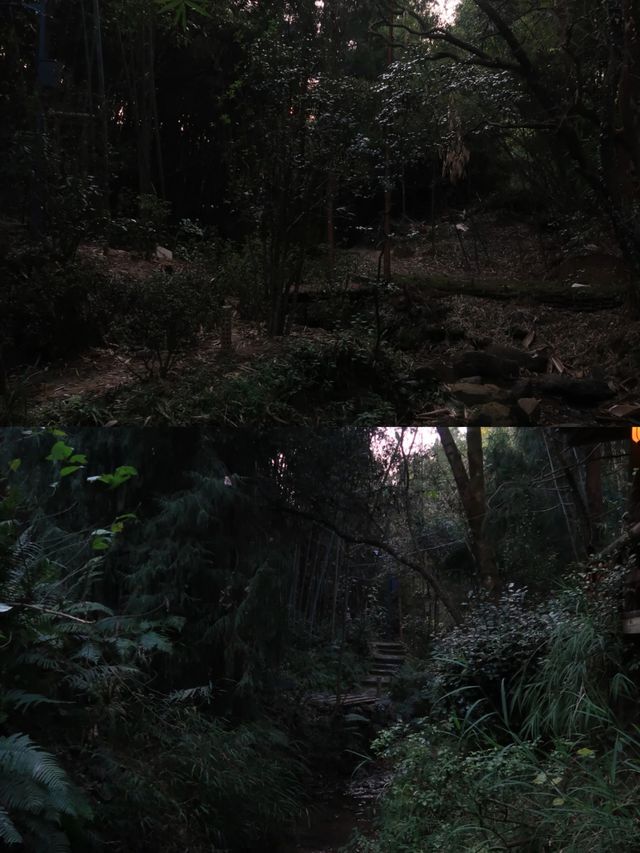 騰沖|寶藏溫泉小鎮,我能待一整年! 騰沖|寶藏溫泉小鎮,我能待一整年!
