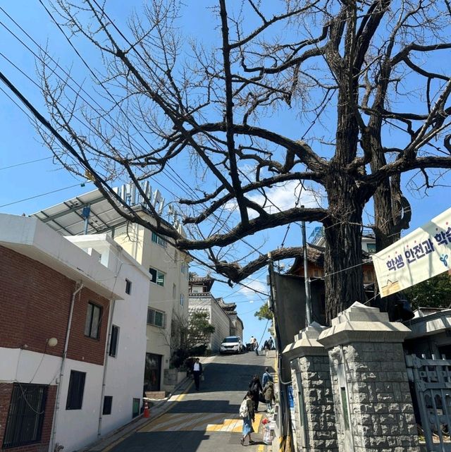 韓國旅行後遺症 終於明白什麼是「首爾病」