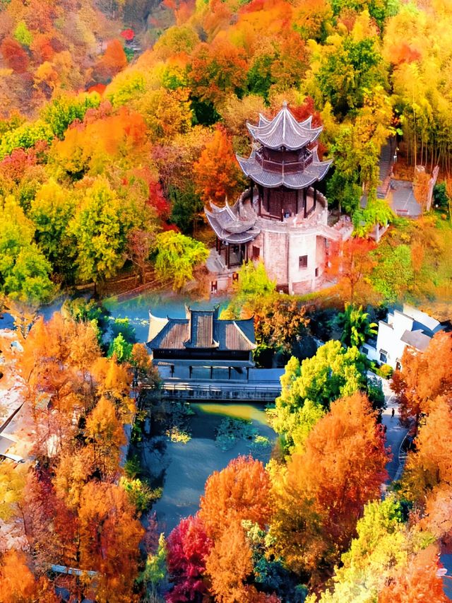 永泉小鎮 | 江南憶 最憶是永泉