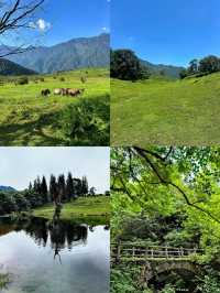 黑竹溝·馬里冷舊｜成都人嘅阿勒泰