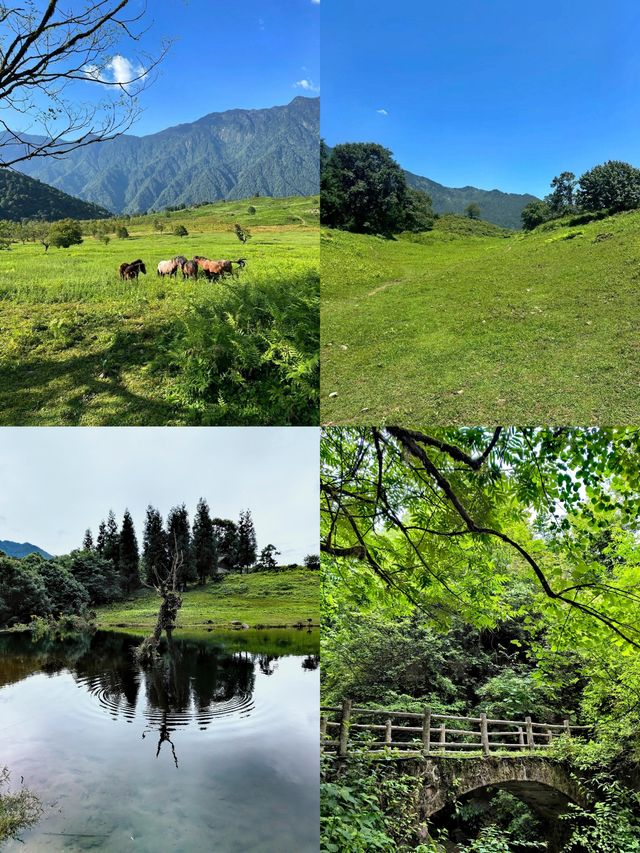 黑竹溝·馬里冷舊｜成都人嘅阿勒泰