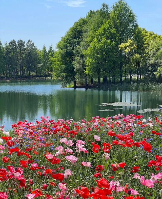虎丘濕地公園