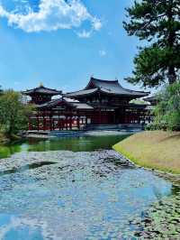 京都＆宇治雙城記，世界文化遺產之旅