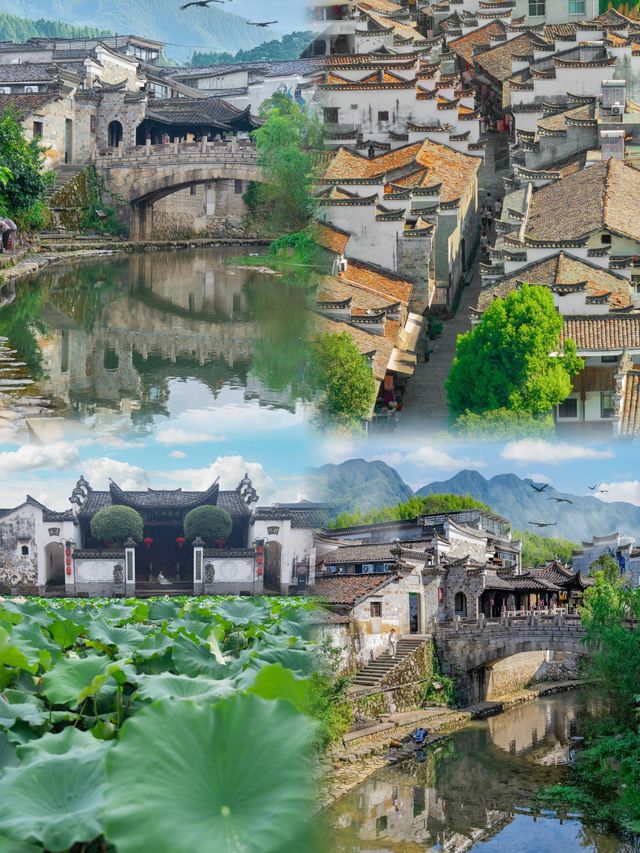 衢州！這才是浙江被嚴重低估的保藏城市！