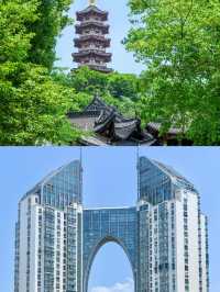 反向旅遊成功這才是溫州的正確打開方式