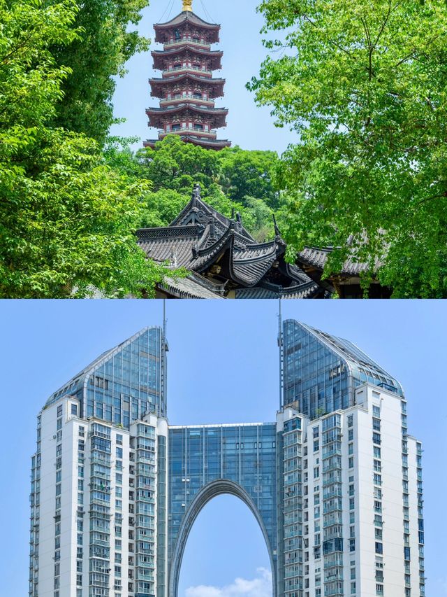 反向旅遊成功這才是溫州的正確打開方式