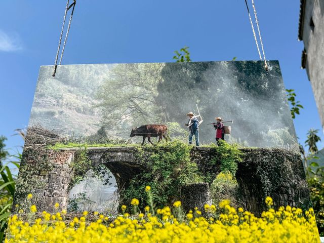 【免門票！】黃山腳下被遺忘的秘境——許村