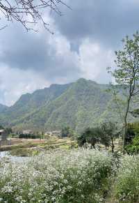 張家界必住民宿 | 閱竹山居度假民宿·住進武陵源的詩畫裡